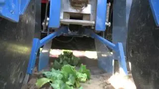 Remoweed: Automatic Weeder