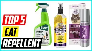 Top 5 Best Cat Repellent for 2024