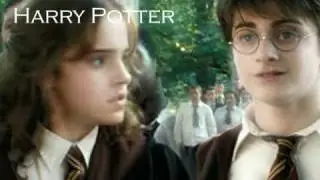 Run [Harry/Hermione]
