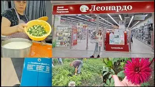 у МАРУСИ глаза разбегаются СТОЛЬКО ВСЕГО ИНТЕРЕСНОГО В ЛЕОНАРДО😲 КАРТОШКА/бюджетный КОМПЛЕКТ/ПИРОЖКИ