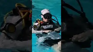 Дайверы отмечают Новый год 2024🥳 #дайвинг #diving #dive #newyear2024 #новыйгод2024