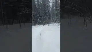 5 апреля 2024 г.