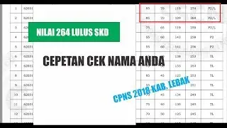 NILAI 264 LULUS SKD CPNS