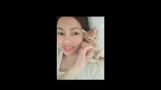 Ginger Kitty Playing On Neck