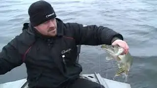 КРУЖКИ - КРАТКО