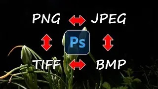 How to convert a picture to JPG, PNG, BMP and more in Photoshop. 