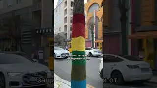 Как вам такая одежда?) 