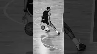 The Art of NBA Dribbling