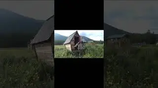 ШРЕК МЕМ КЛОУН ТУАЛЕТ funny clown shrek toilet meme #шрек #shrek #clown #somebodyoncetoldme