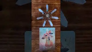 card of the day #tarot #fortunecards #fortune #fortunetelling #fortunecards #tarotreader