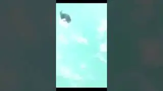 The Anime Grand Successful Bubble  
