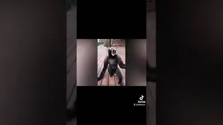 LaBoiserie Thierry Vigneau Boiserie Story Snap meme Tiktok Singe qui crie !!!!!