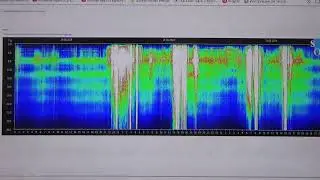 22 08 24 г  Ответы на вопросы подписчиков ютуб инф. потока Лесовичок -  Боровичок 3 ч. 2