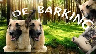 DE-BARKING | Primitive Technology MEME