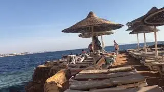 151 Египет 🇪🇬 Шарм-Эль-Шейх Отель 🏨 Dreams Vacation. Дорога на пляж 🏖 🌴🏊‍♂️🌊🐠