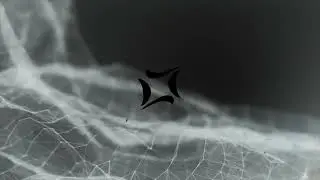 Belligerent Art - Promotional Teaser