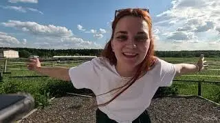 Природа и собачки