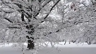 13 февраля 2019 г.