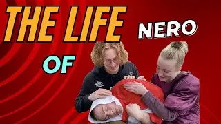 THE LIFE OF NERO | 2024