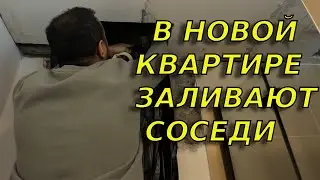 Нас затопили соседи в Германии. Кто будет платить за ущерб?
