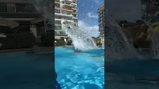 Плаваем... +31