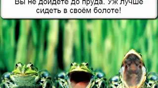 Притча. О лягушке, дошедшей до цели