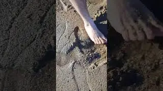 не буду 🤣🤣🤣