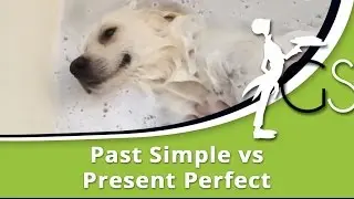 Past Simple vs Present Perfect: English Grammar Lesson