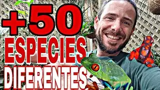 MAS de 50 ESPECIES ALUCINANTES! Ranas, Lagartos, Serpientes, Tortugas, Tarantulas, Tritones... 😱🦎🐢🐍