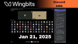Wingbits Discord Stage: Jan 21st, 2025 - Record Participation!