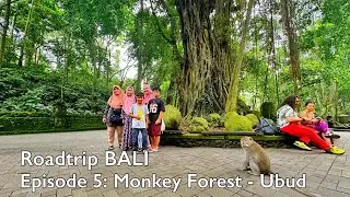 ROADTRIP BALI – Episode 5: MONKEY FOREST - UBUD