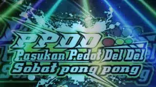 Ppdd