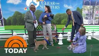 TODAY celebrates 10th anniversary of Clear the Shelters