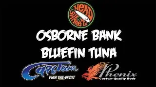 Osborne Bank - Bluefin Tuna