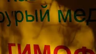 Суперзвезда медведь Тима, Лаго-Наки. 2018
