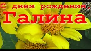 С днем рождения, ГАЛИНА