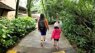 #madikeri #clubmahindra #rainfall #nature #romance