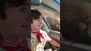 ONE YEAR ANNIVERSARY IF THIS VID #COMEDY #PepsiApplePieChallenge