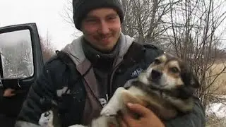 зима 2018-2019. Перевозим коров и телят на ферму.