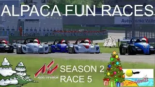 Alpaca Fun Races - Christmas 2021