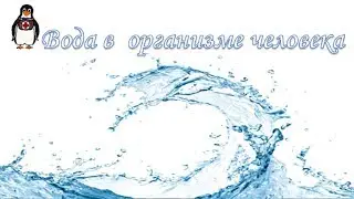 Когда организму не хватает Воды