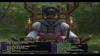 FFXI: the beast within