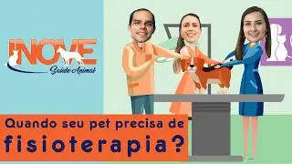 Quando seu pet precisa de fisioterapia?- Inove Saúde animal