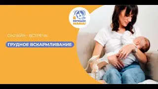 Грудное вскармливание