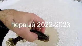 Рыбалка первый лёд  2022 -  2023, первый лёд на болоте.