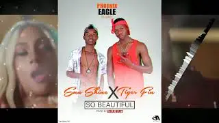 SUN SHINE   SO BEAUTIFUL Ft TIGER FIN Prod By LESLIE BEATZ  PHOENIX EAGLE RECORDS ©2018