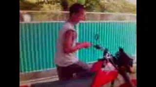 сова