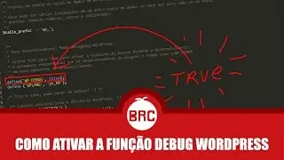 Como ativar a função debug do wordpress