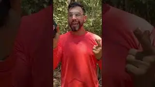 Pistola de Co2 C15 Gamo
