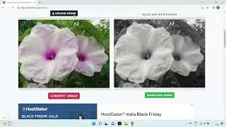 Convert color photo to black and white image Free Online Tool - imageonline.co